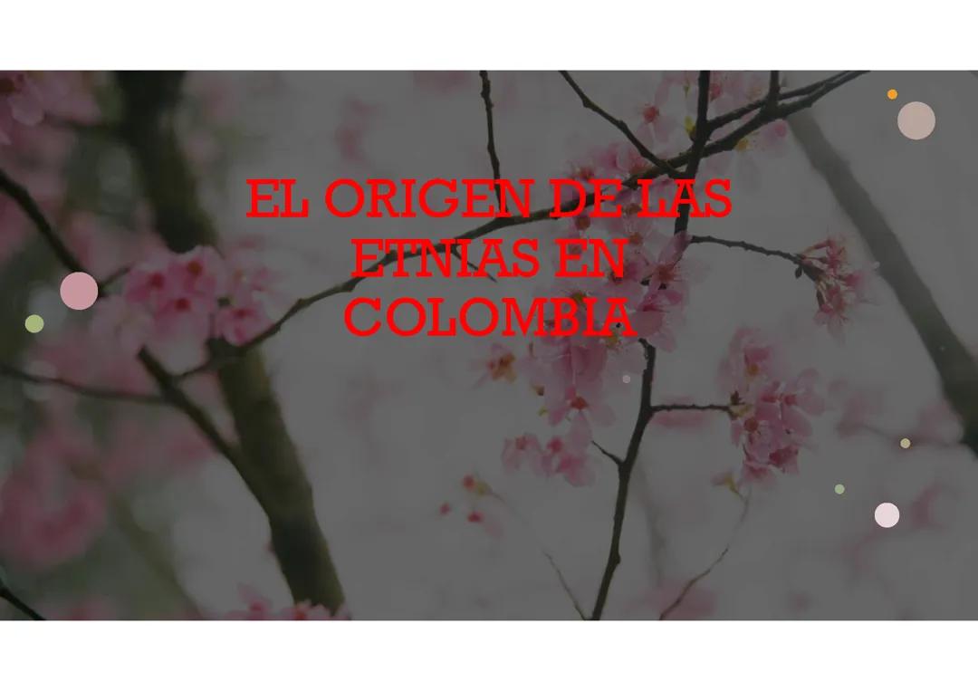 Origen de las etnias en Colombia y América