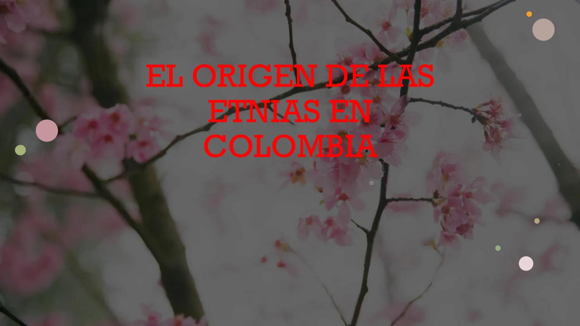 EL ORIGEN DELAS
EINIAS EN
COLOMB ¿CÓMO LLEGARON LOS PRIMEROS
HUMANOS A COLOMBIA?
En la era del hielo los primeros homínidos
nómadas llegaron