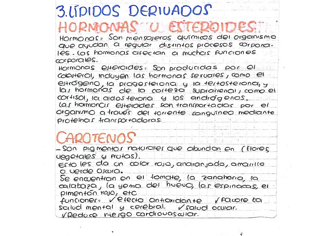 Lípidos Derivados: Hormonas, Esteroides y Más