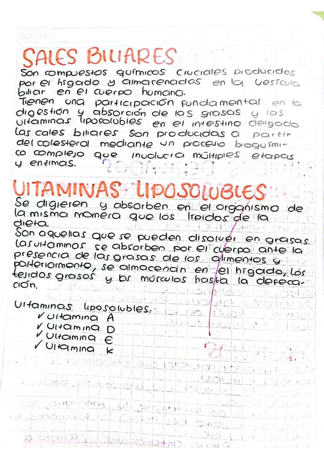 3.UIDIDOS DERIVADOS
HORMONAS U ESTEROIDEST
Hormonas: Son mensajeros químicos del organismo
que ayudan a regular distintos procesos corpora-
