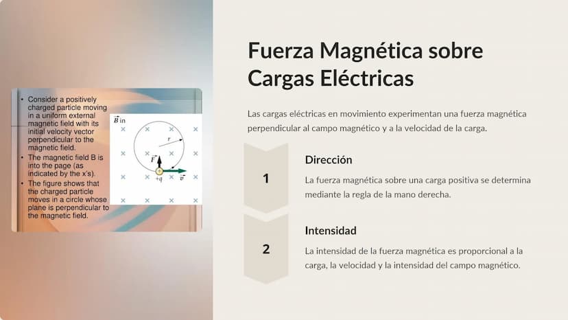 Magnetismo
El magnetismo es una fuerza fundamental de la naturaleza que
surge de la interacción de partículas cargadas en movimiento. Esta
f