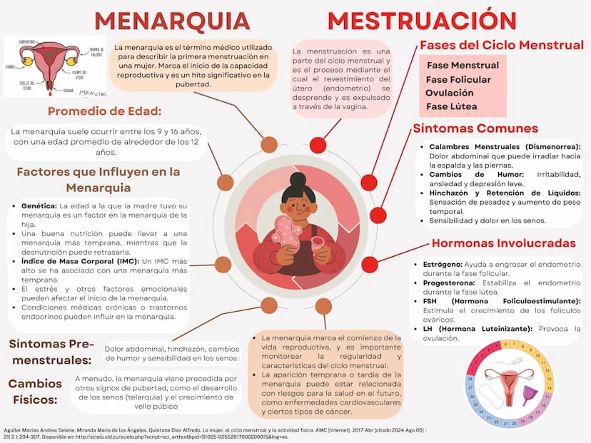 MONTHLY
eeee
EL CICLO MENSTRUAL
A
Una vía de salida sin
obstrucción
B
Un endometrio preparado
por los estrógenos
Ovarios que puedan responde