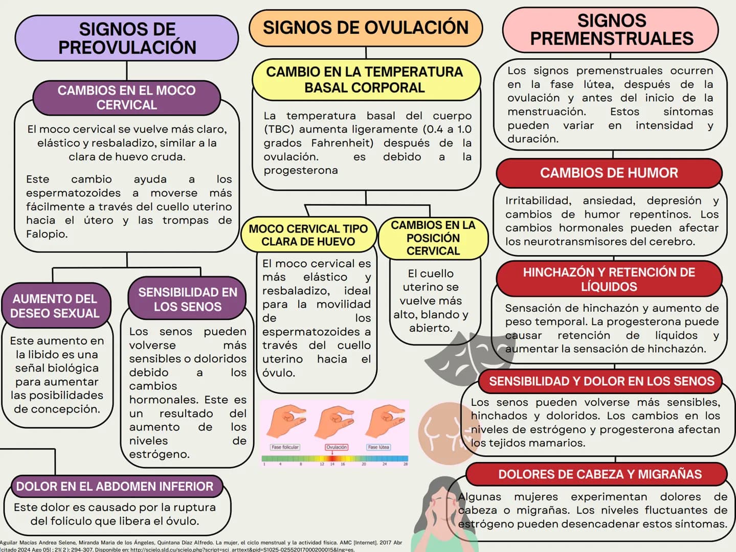 MONTHLY
eeee
EL CICLO MENSTRUAL
A
Una vía de salida sin
obstrucción
B
Un endometrio preparado
por los estrógenos
Ovarios que puedan responde