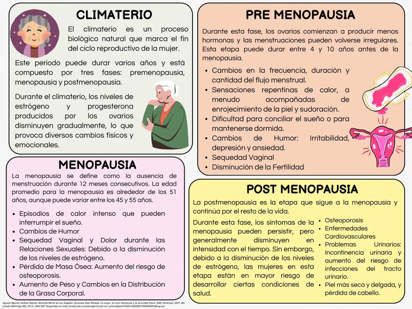 MONTHLY
eeee
EL CICLO MENSTRUAL
A
Una vía de salida sin
obstrucción
B
Un endometrio preparado
por los estrógenos
Ovarios que puedan responde