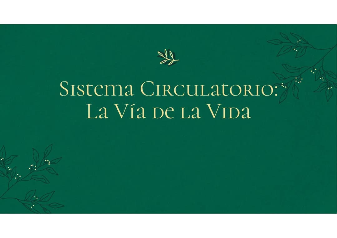 Sistema Circulatorio 