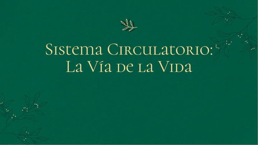 Sistema
CIRCULATORIO:
La Vía De La VIDA INTRODUCCIÓN
El sistema circulatorio es fundamental para la
vida, transporta sangre y nutrientes a t
