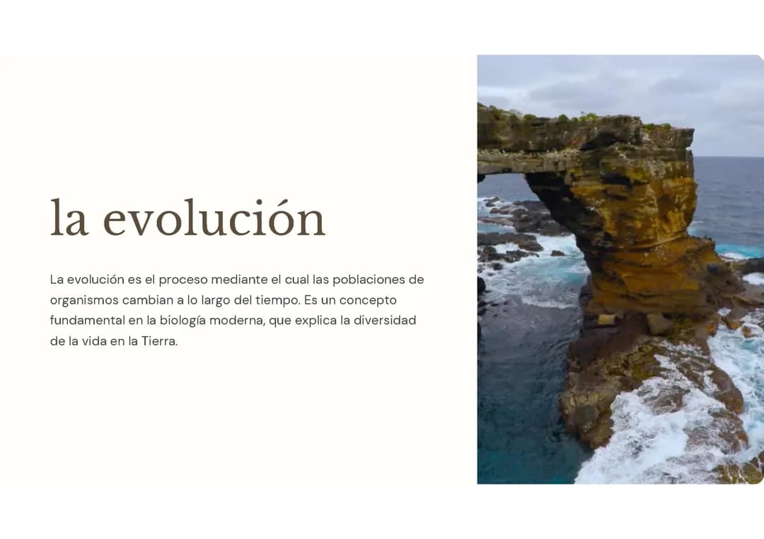 Evolución