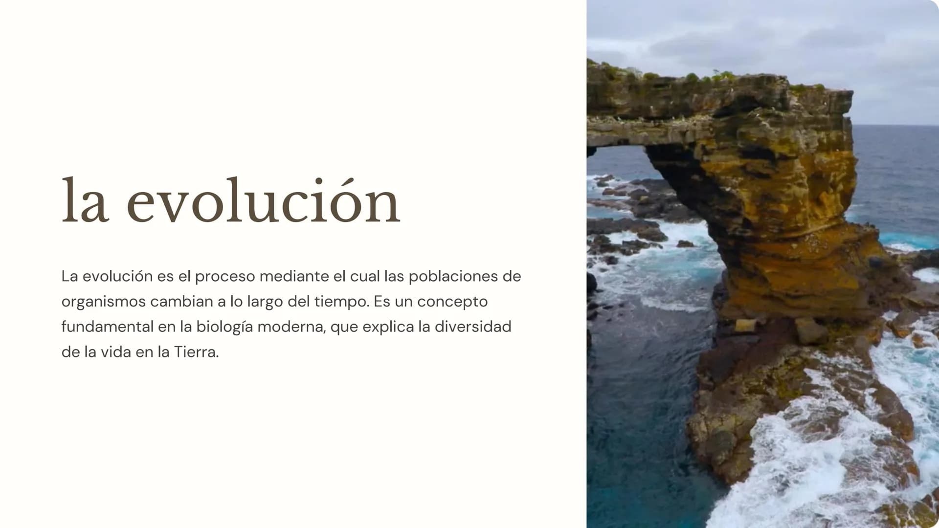 la evolución
La evolución es el proceso mediante el cual las poblaciones de
organismos cambian a lo largo del tiempo. Es un concepto
fundame