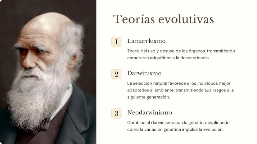 la evolución
La evolución es el proceso mediante el cual las poblaciones de
organismos cambian a lo largo del tiempo. Es un concepto
fundame