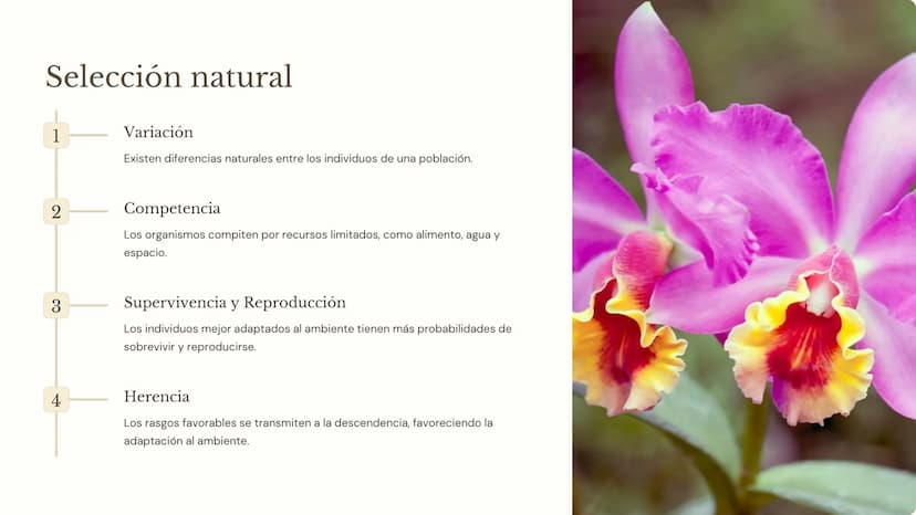 la evolución
La evolución es el proceso mediante el cual las poblaciones de
organismos cambian a lo largo del tiempo. Es un concepto
fundame