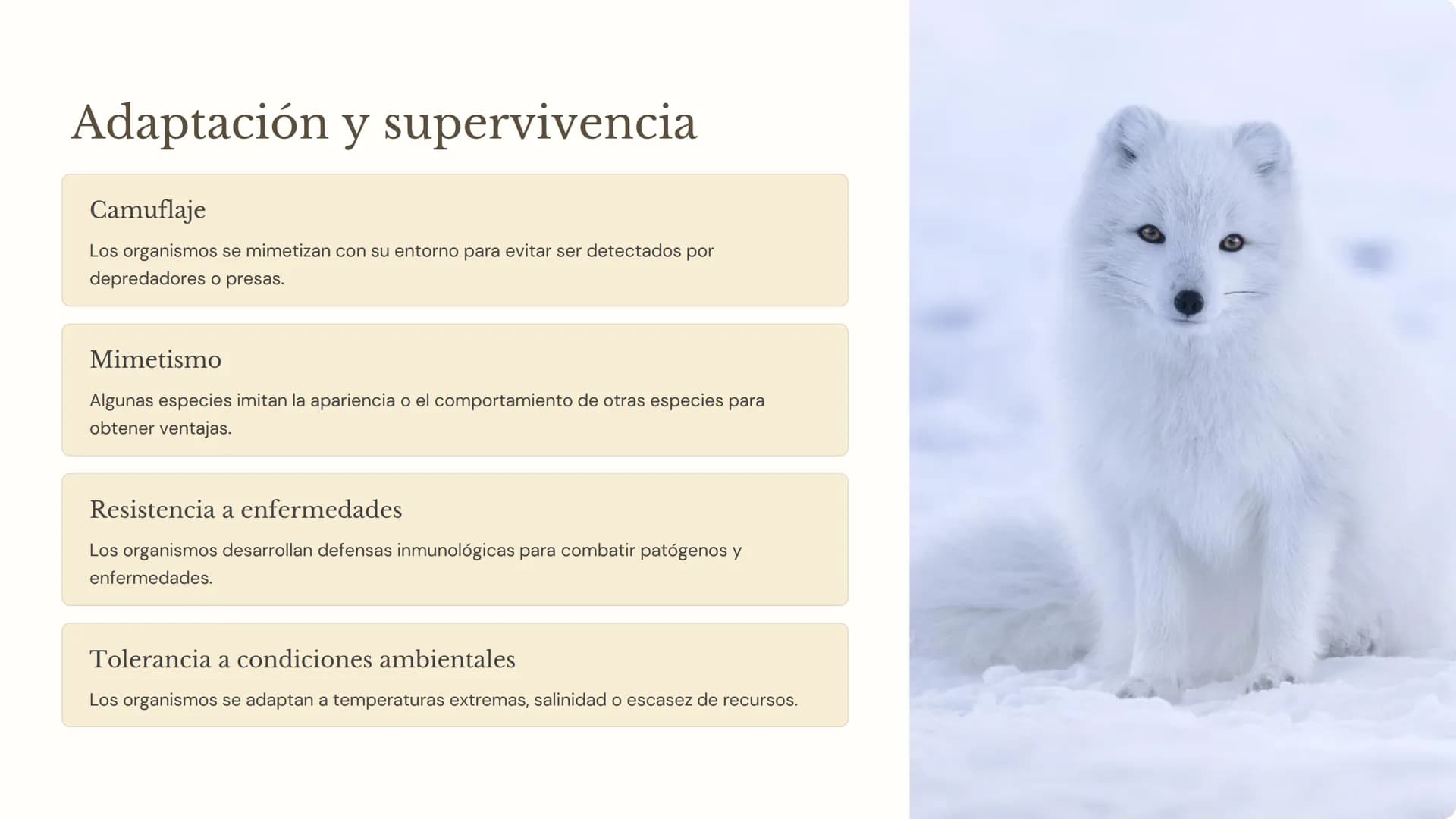 la evolución
La evolución es el proceso mediante el cual las poblaciones de
organismos cambian a lo largo del tiempo. Es un concepto
fundame