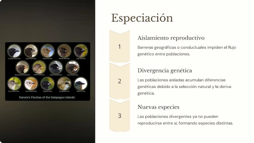 la evolución
La evolución es el proceso mediante el cual las poblaciones de
organismos cambian a lo largo del tiempo. Es un concepto
fundame
