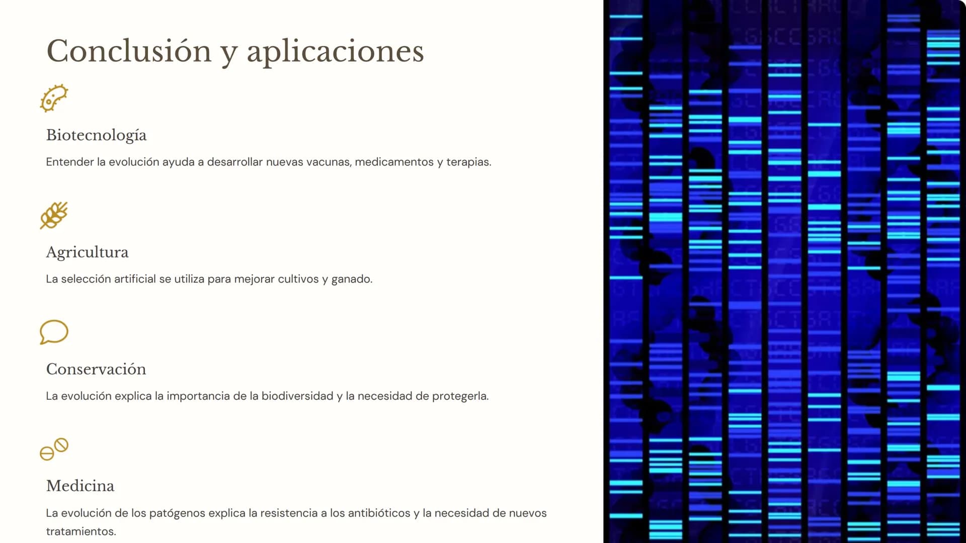 la evolución
La evolución es el proceso mediante el cual las poblaciones de
organismos cambian a lo largo del tiempo. Es un concepto
fundame