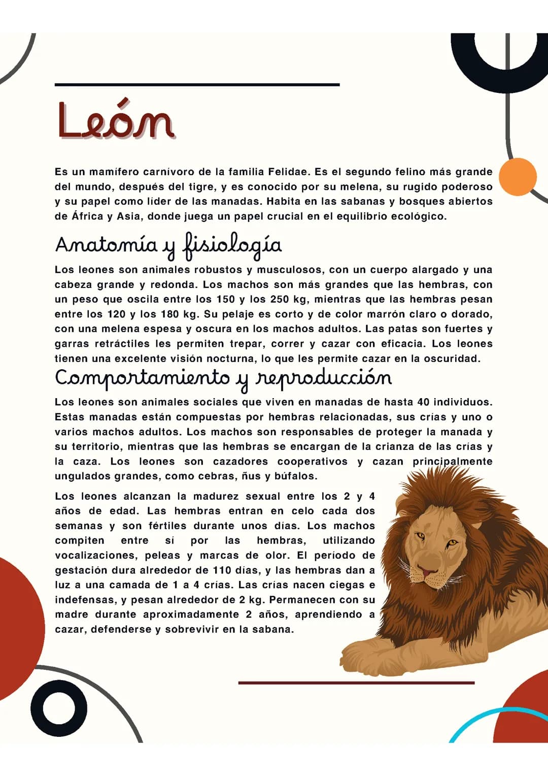 León