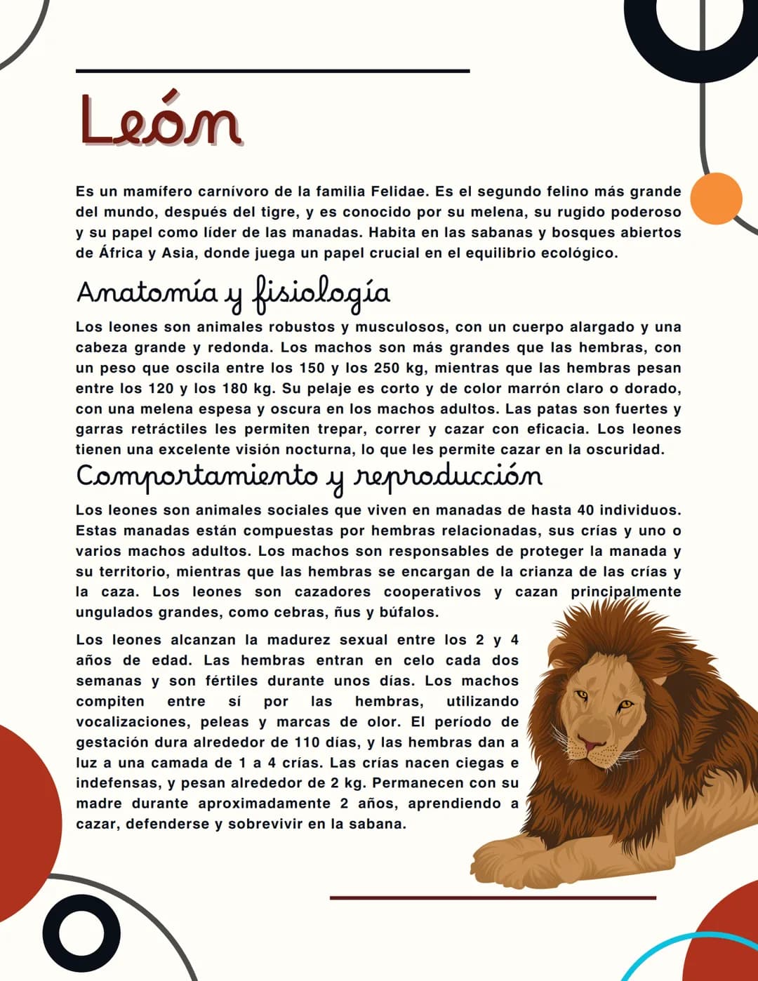 León
Es un mamífero carnívoro de la familia Felidae. Es el segundo felino más grande
del mundo, después del tigre, y es conocido por su mele