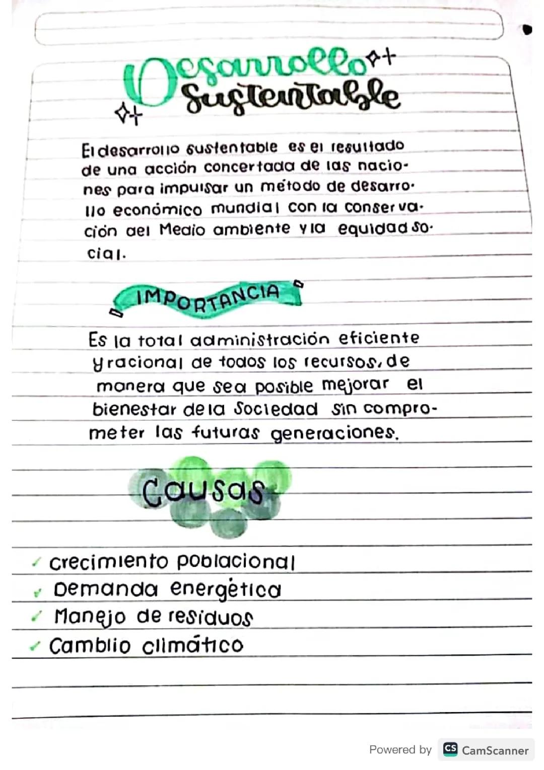 Desarrollo Sostenible 