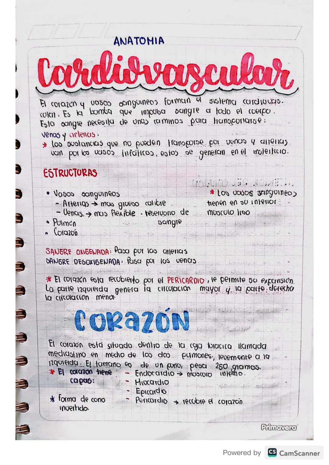 ANATOMIA
Cardiovascular
El corazón y vasos sanguineos forman el sistema cardiocas.
colail. Es la bomba que impulsa sangre a todo el cuerpo.
