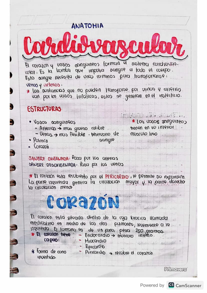 ANATOMIA
Cardiovascular
El corazón y vasos sanguineos forman el sistema cardiocas.
colail. Es la bomba que impulsa sangre a todo el cuerpo.

