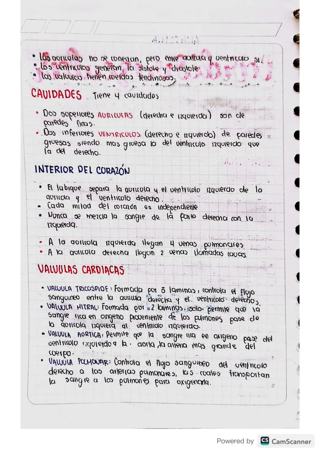 ANATOMIA
Cardiovascular
El corazón y vasos sanguineos forman el sistema cardiocas.
colail. Es la bomba que impulsa sangre a todo el cuerpo.
