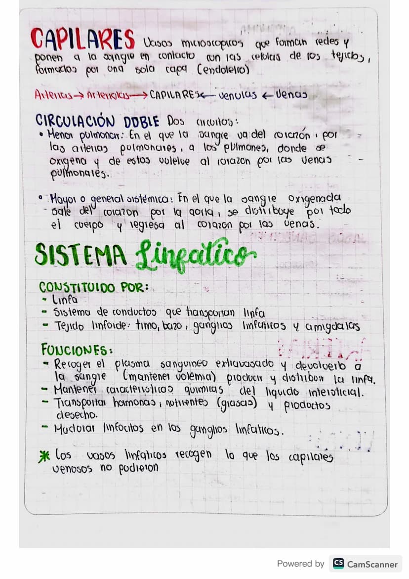 ANATOMIA
Cardiovascular
El corazón y vasos sanguineos forman el sistema cardiocas.
colail. Es la bomba que impulsa sangre a todo el cuerpo.
