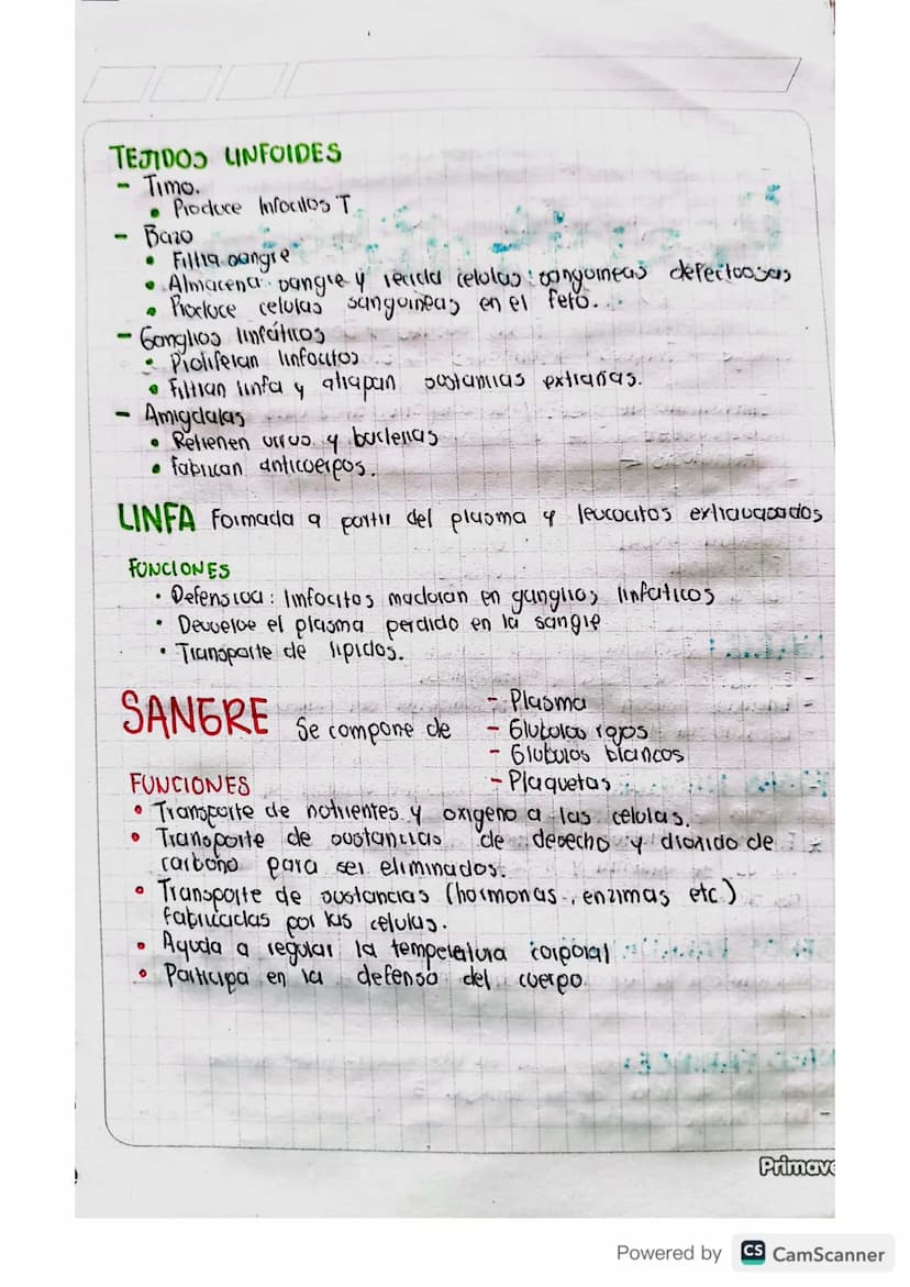 ANATOMIA
Cardiovascular
El corazón y vasos sanguineos forman el sistema cardiocas.
colail. Es la bomba que impulsa sangre a todo el cuerpo.
