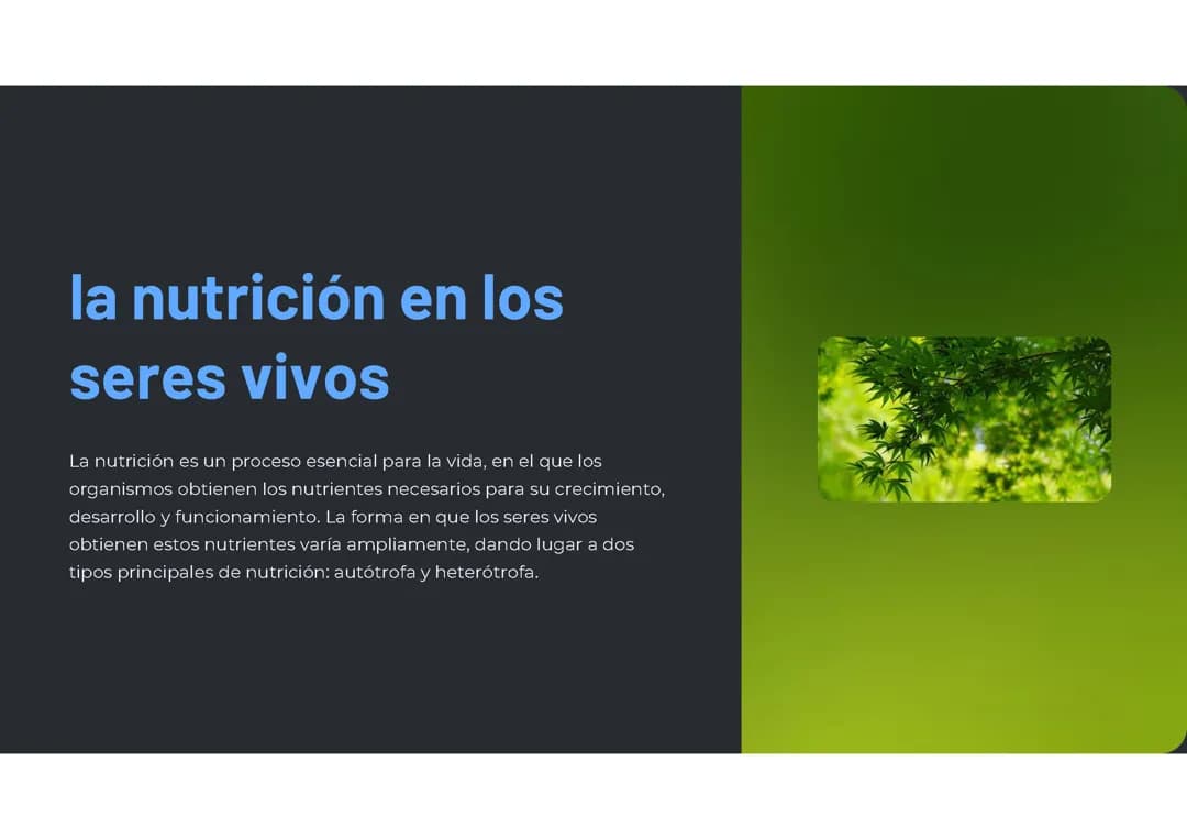 Nutrición en los seres vivos