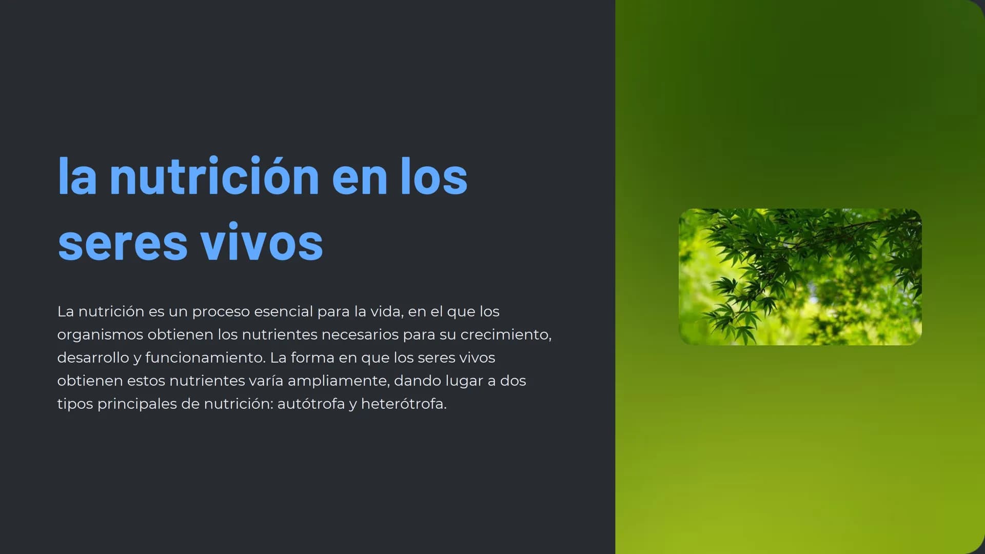 la nutrición en los
seres vivos
La nutrición es un proceso esencial para la vida, en el que los
organismos obtienen los nutrientes necesario
