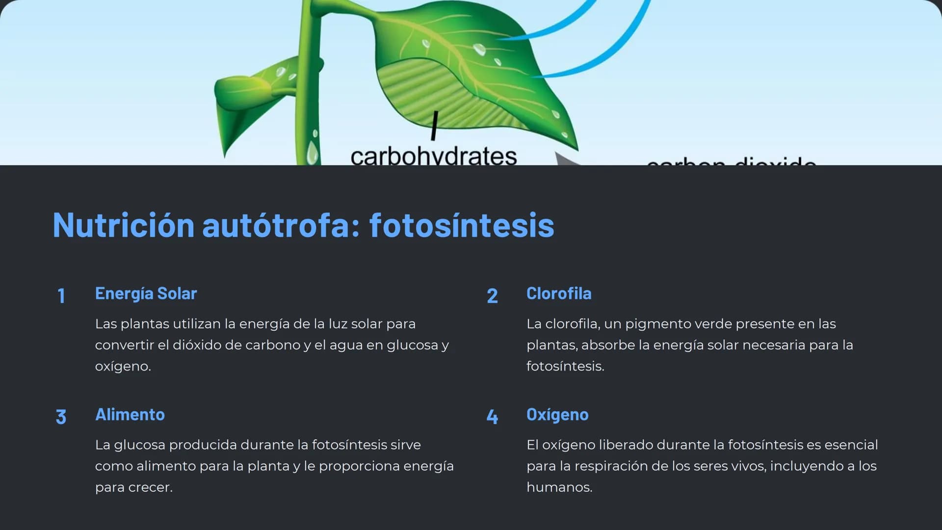 la nutrición en los
seres vivos
La nutrición es un proceso esencial para la vida, en el que los
organismos obtienen los nutrientes necesario