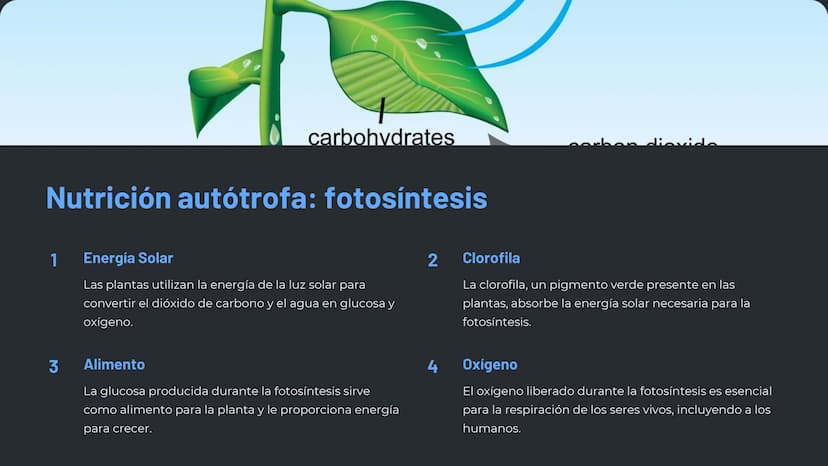 la nutrición en los
seres vivos
La nutrición es un proceso esencial para la vida, en el que los
organismos obtienen los nutrientes necesario