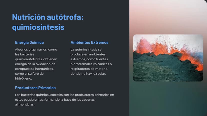 la nutrición en los
seres vivos
La nutrición es un proceso esencial para la vida, en el que los
organismos obtienen los nutrientes necesario