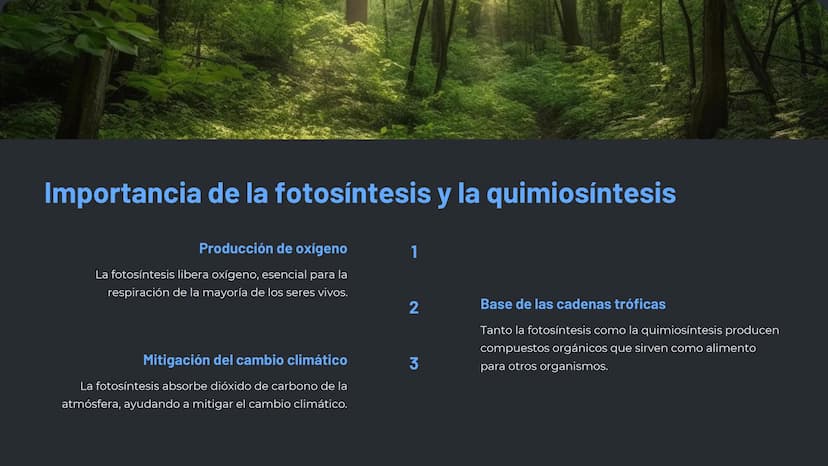 la nutrición en los
seres vivos
La nutrición es un proceso esencial para la vida, en el que los
organismos obtienen los nutrientes necesario