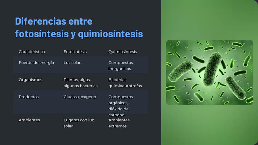 la nutrición en los
seres vivos
La nutrición es un proceso esencial para la vida, en el que los
organismos obtienen los nutrientes necesario