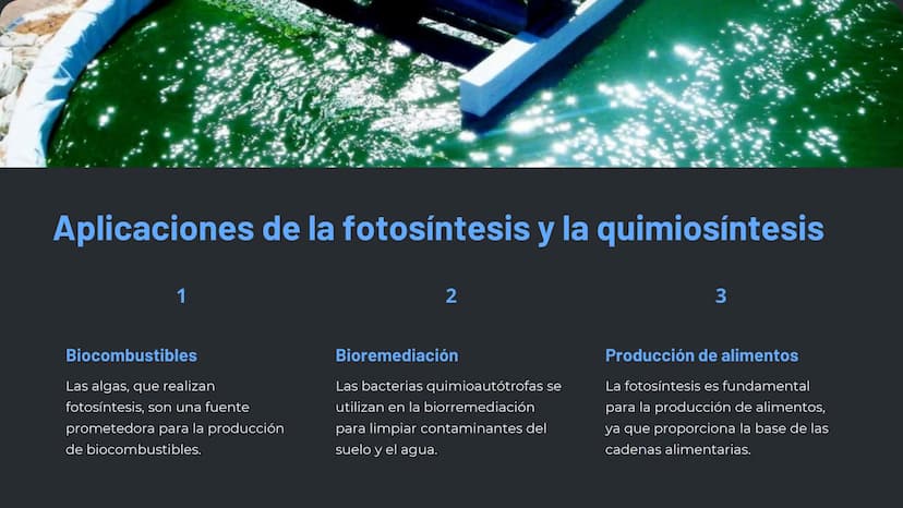la nutrición en los
seres vivos
La nutrición es un proceso esencial para la vida, en el que los
organismos obtienen los nutrientes necesario