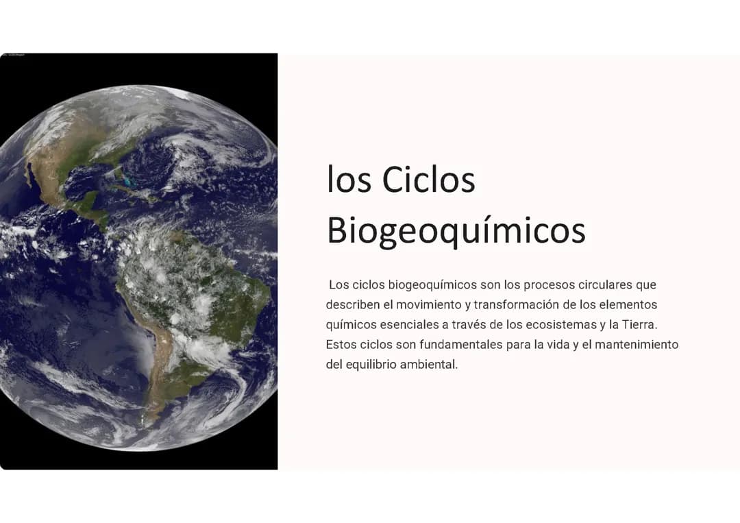 Ciclos biogeoquímicos: 