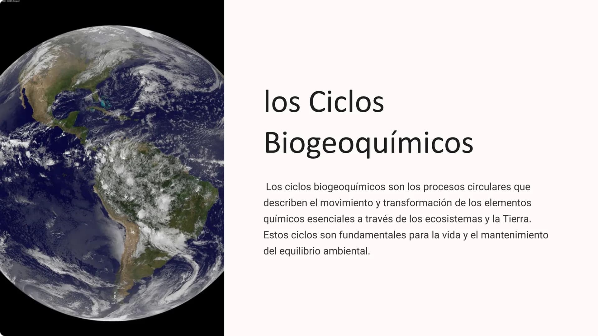 los Ciclos
Biogeoquímicos
Los ciclos biogeoquímicos son los procesos circulares que
describen el movimiento y transformación de los elemento