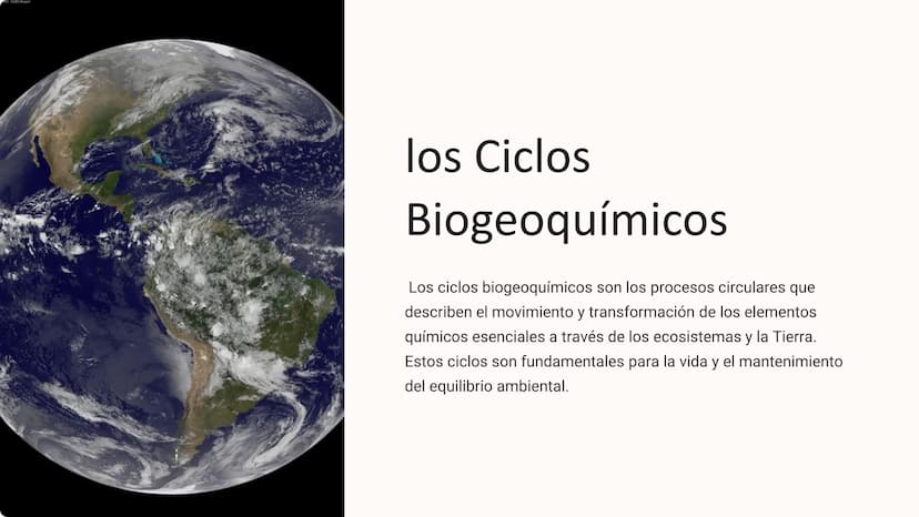 los Ciclos
Biogeoquímicos
Los ciclos biogeoquímicos son los procesos circulares que
describen el movimiento y transformación de los elemento