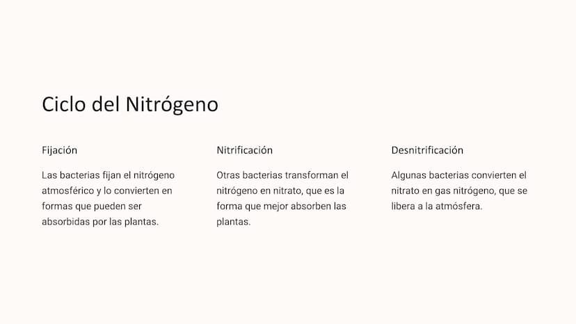 los Ciclos
Biogeoquímicos
Los ciclos biogeoquímicos son los procesos circulares que
describen el movimiento y transformación de los elemento