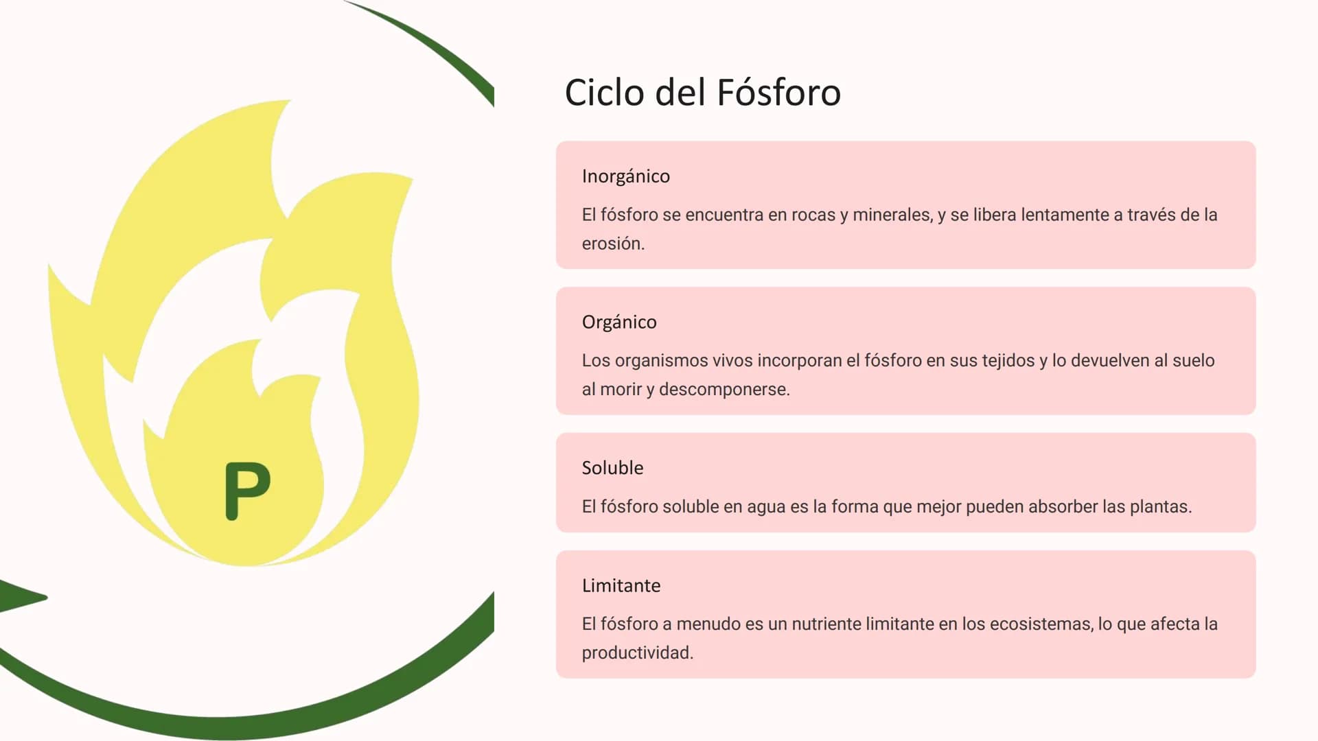 los Ciclos
Biogeoquímicos
Los ciclos biogeoquímicos son los procesos circulares que
describen el movimiento y transformación de los elemento