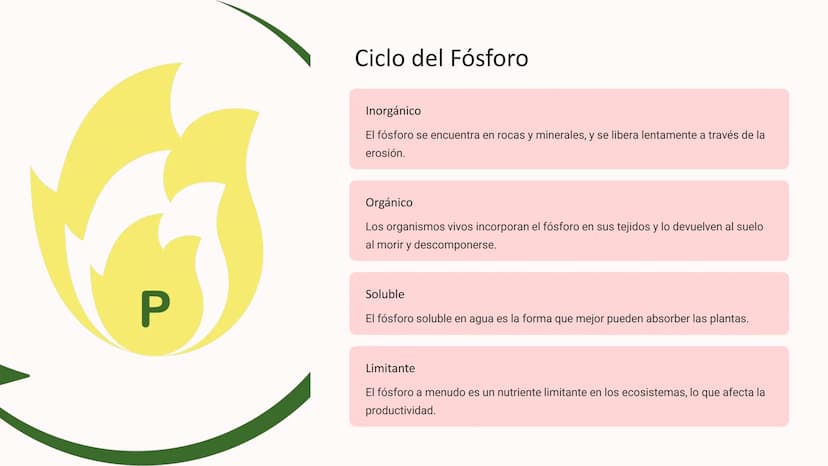 los Ciclos
Biogeoquímicos
Los ciclos biogeoquímicos son los procesos circulares que
describen el movimiento y transformación de los elemento