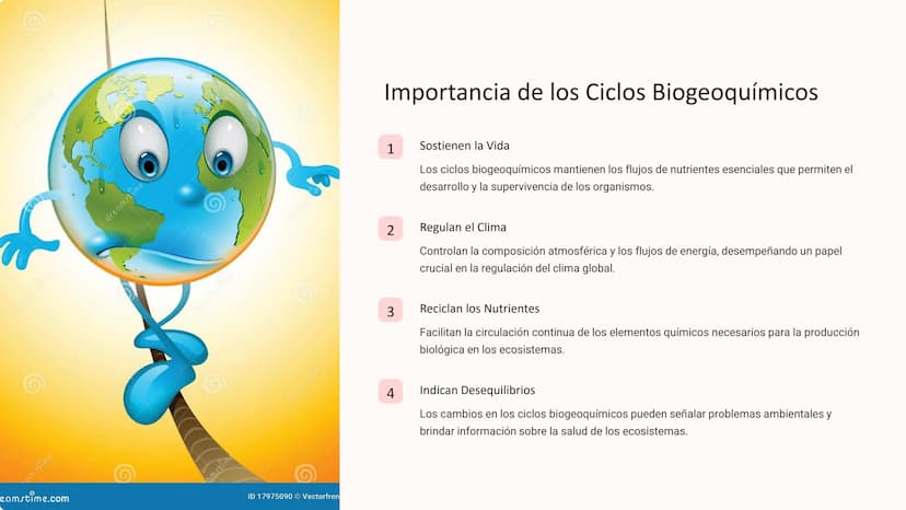 los Ciclos
Biogeoquímicos
Los ciclos biogeoquímicos son los procesos circulares que
describen el movimiento y transformación de los elemento