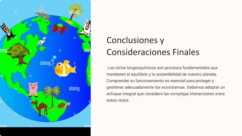 los Ciclos
Biogeoquímicos
Los ciclos biogeoquímicos son los procesos circulares que
describen el movimiento y transformación de los elemento