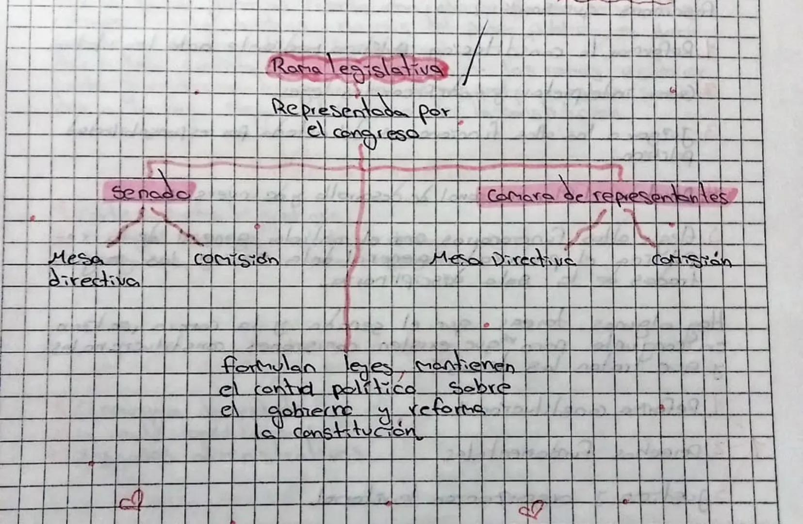 Rama legislativa

Representada por
el congreso

Camara de representantes

Senado

Mesa
directiva

comisión

Φ

Mesa Directive

formulan lege