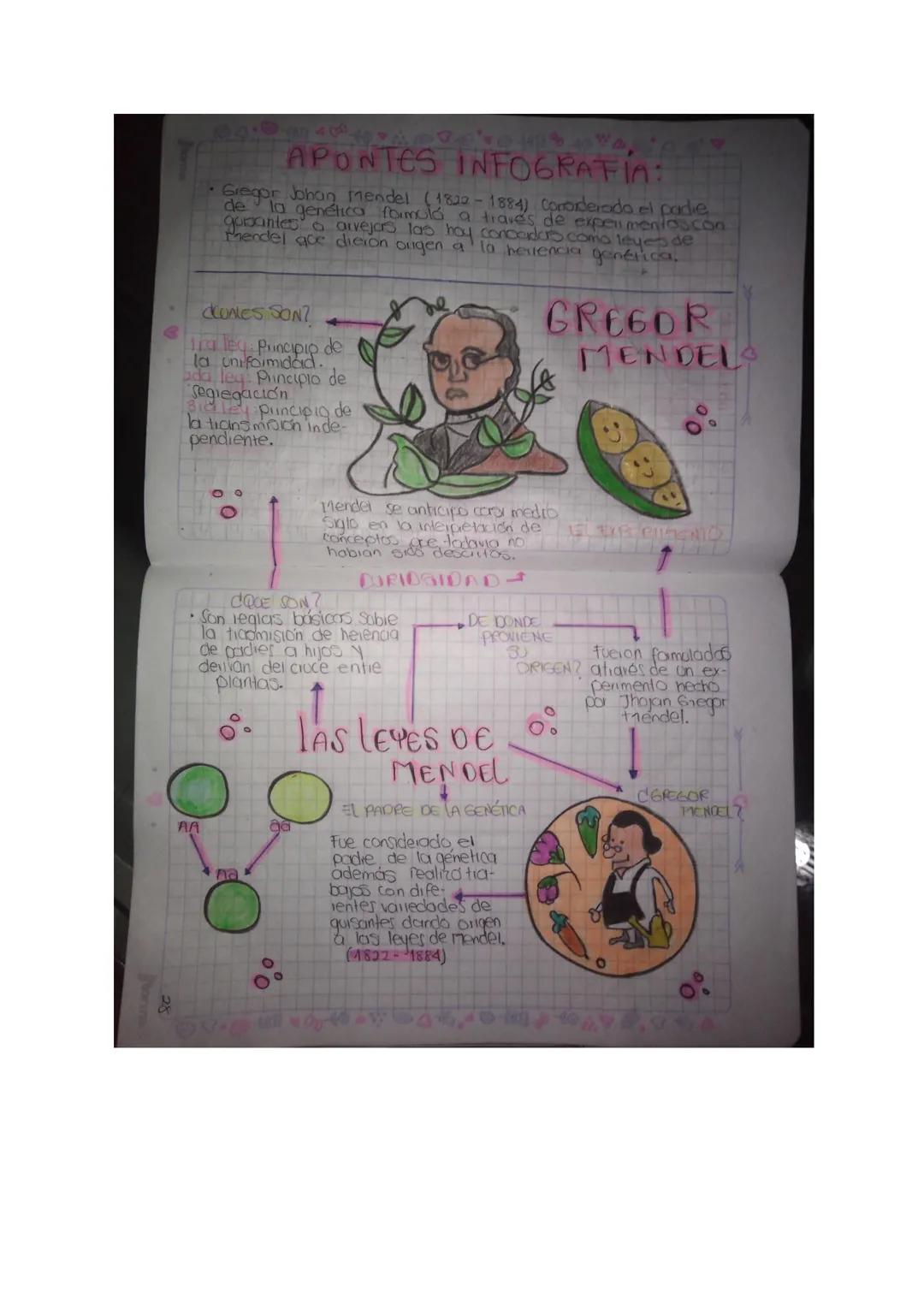 SARA FERNANDA URREGO QUIROGA 902
ACTIVIDAD GREGOR MENDEL.

TOPIC: Genetica Melendma.
TING Identificar teiminos clave en el estudio de la gén