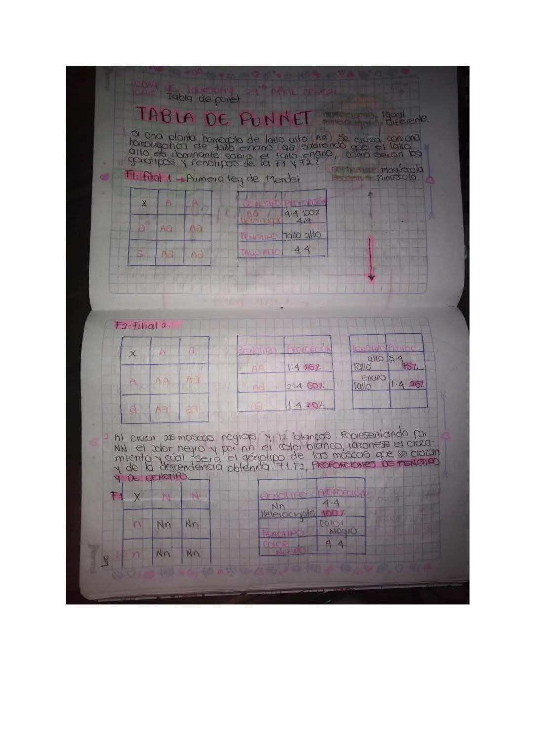 SARA FERNANDA URREGO QUIROGA 902
ACTIVIDAD GREGOR MENDEL.

TOPIC: Genetica Melendma.
TING Identificar teiminos clave en el estudio de la gén
