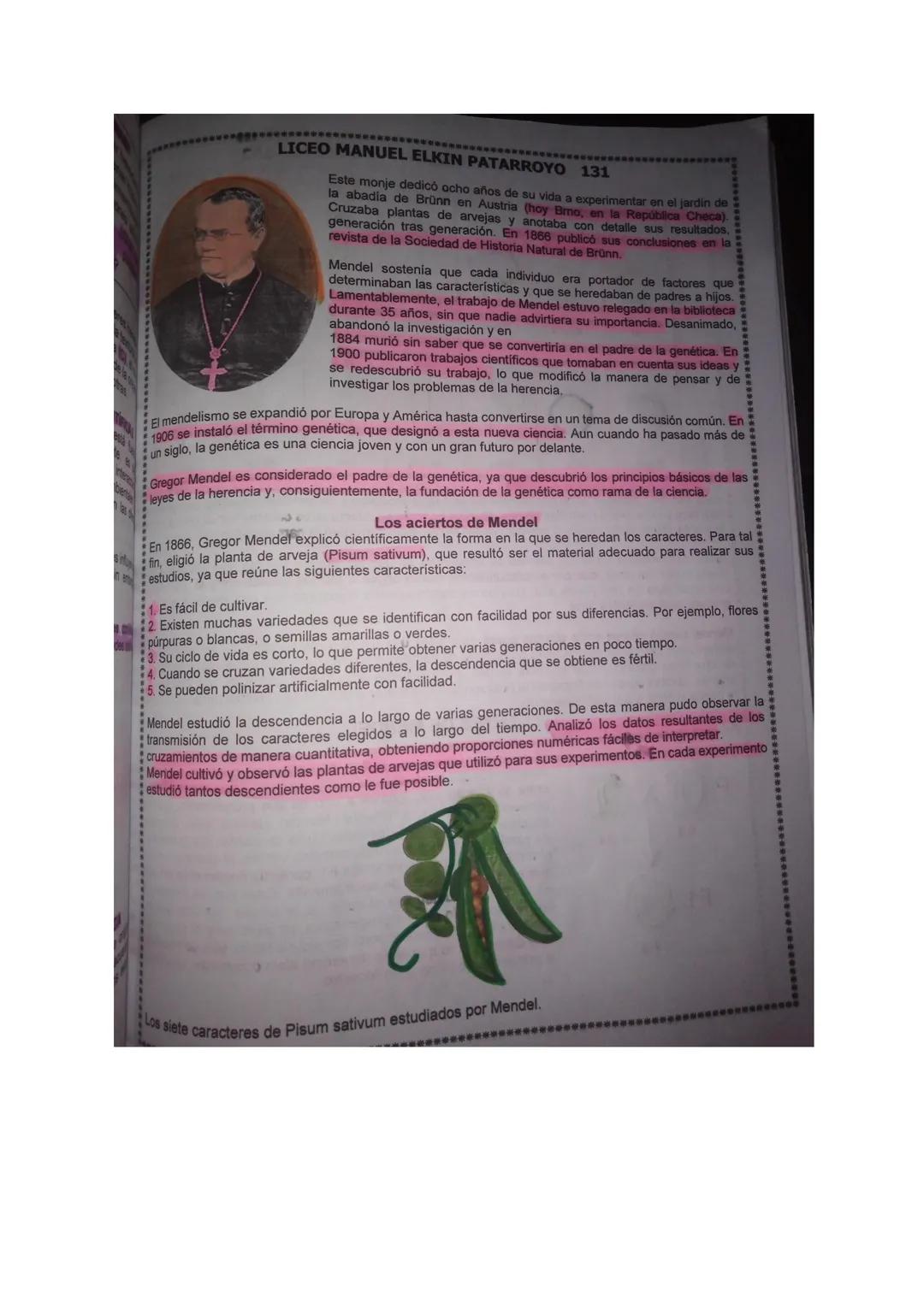 SARA FERNANDA URREGO QUIROGA 902
ACTIVIDAD GREGOR MENDEL.

TOPIC: Genetica Melendma.
TING Identificar teiminos clave en el estudio de la gén