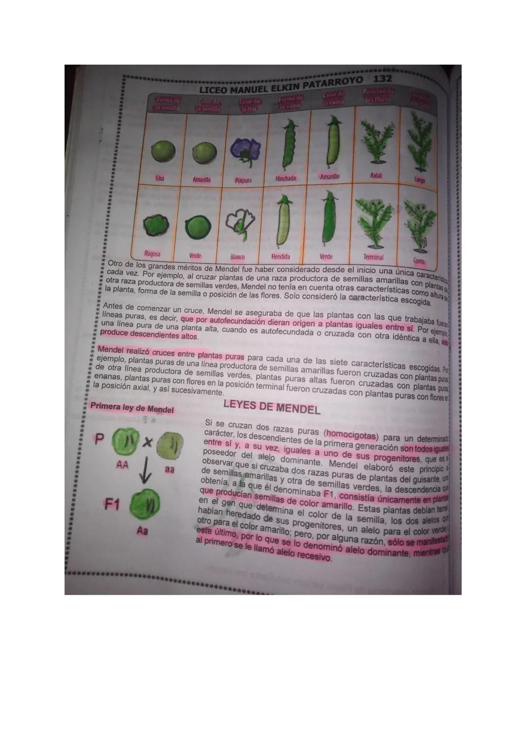 SARA FERNANDA URREGO QUIROGA 902
ACTIVIDAD GREGOR MENDEL.

TOPIC: Genetica Melendma.
TING Identificar teiminos clave en el estudio de la gén