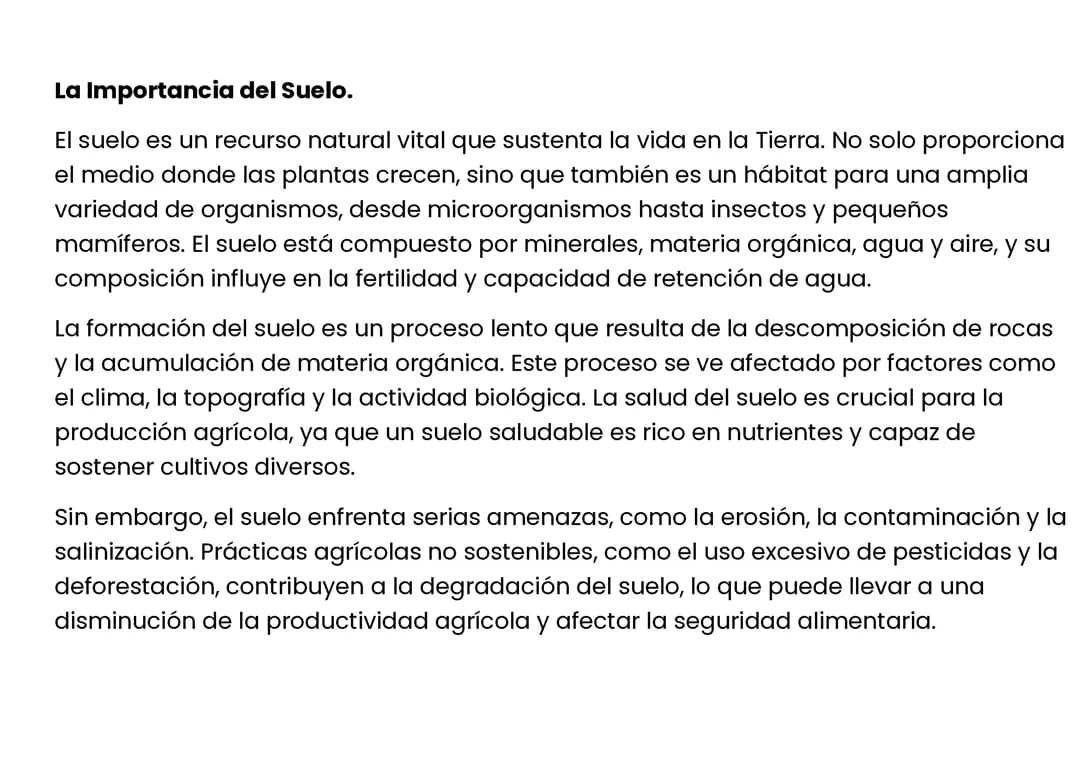 La Importancia del Suelo.
