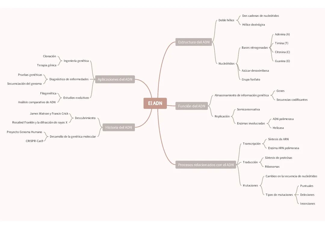 mapa del ADN 