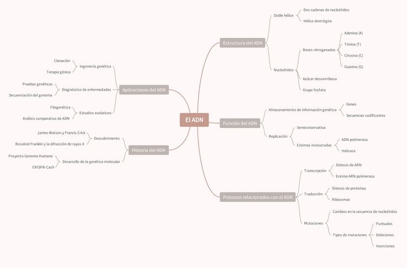 Clonación
Ingeniería genética
Terapia génica
Pruebas genéticas
Diagnóstico de enfermedades
Aplicaciones del ADN
Secuenciación del genoma
Fil