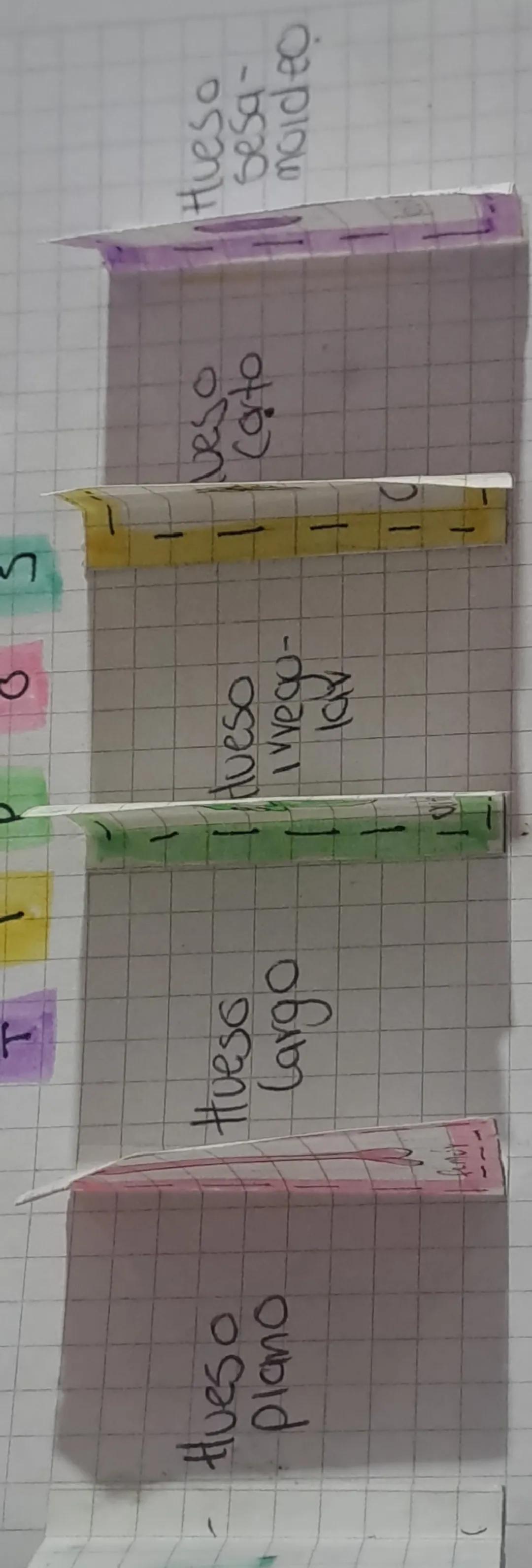 # Osteologia

El esqueleto humano es al conjunto de huese,
que le dan forma al cuerpo y le proporcionan
soporte Esta formado por tejido ośca